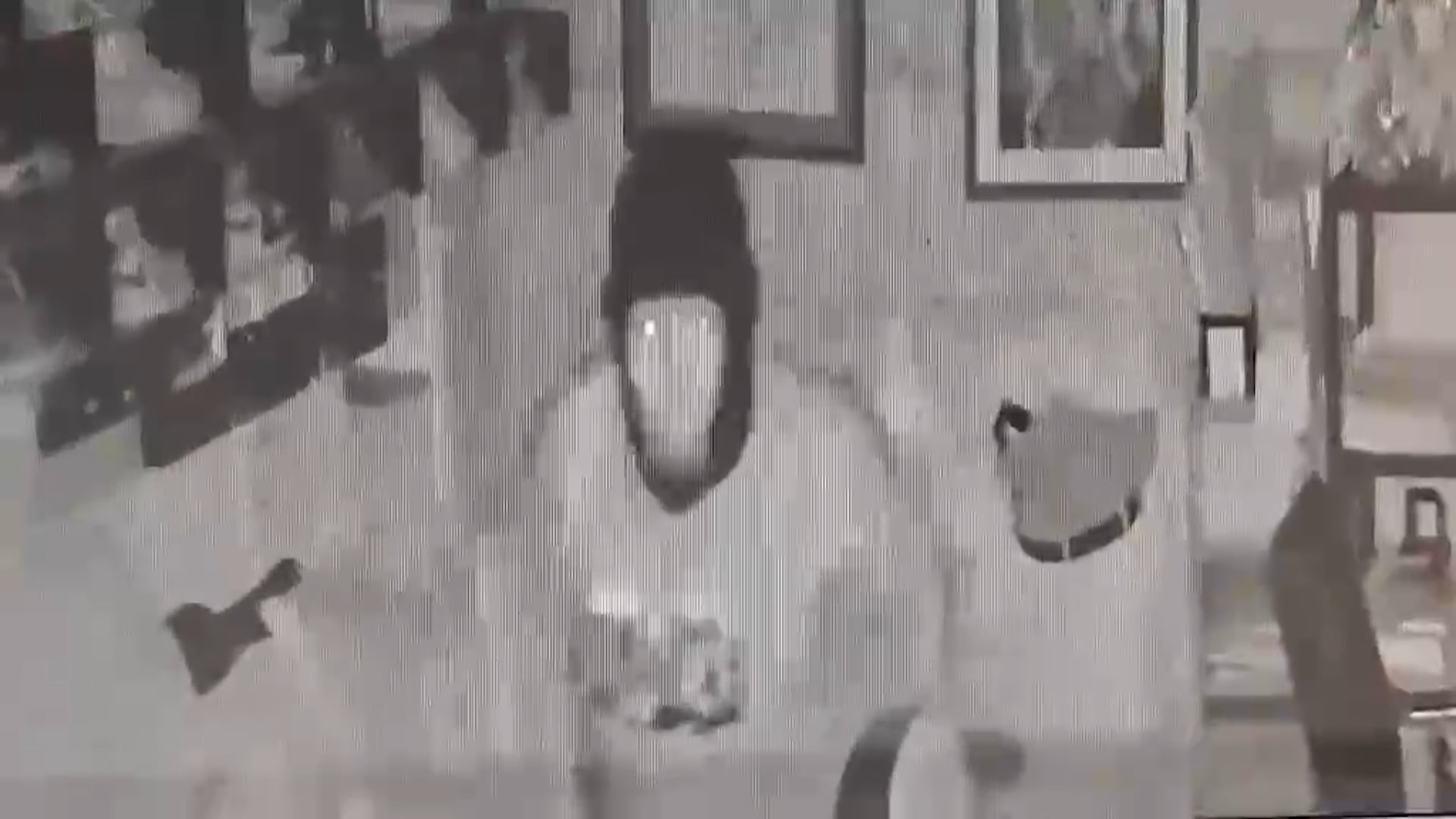 Image from contributed video