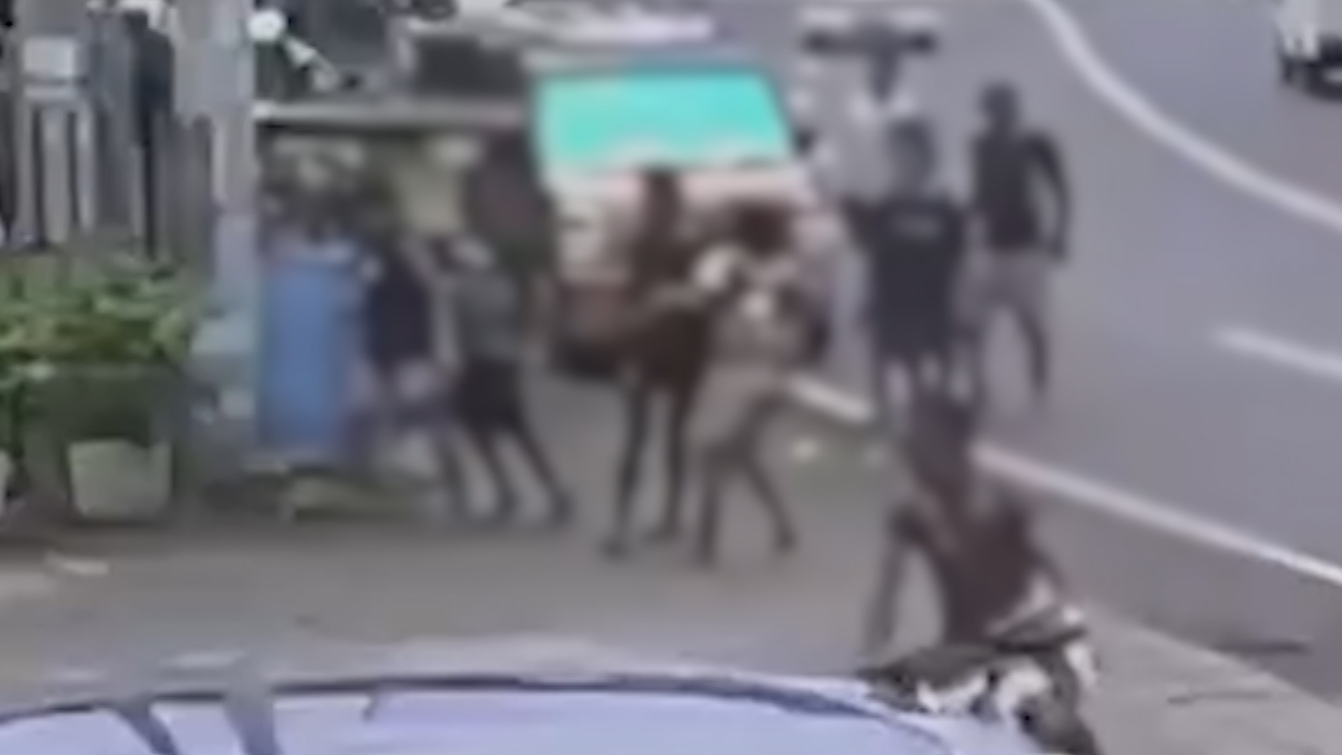 Image from contributed video