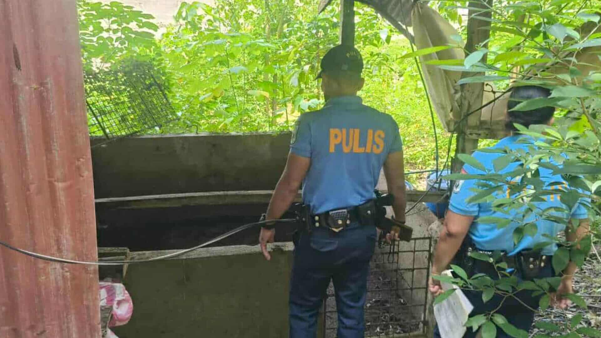 Image courtesy: Francis Basco