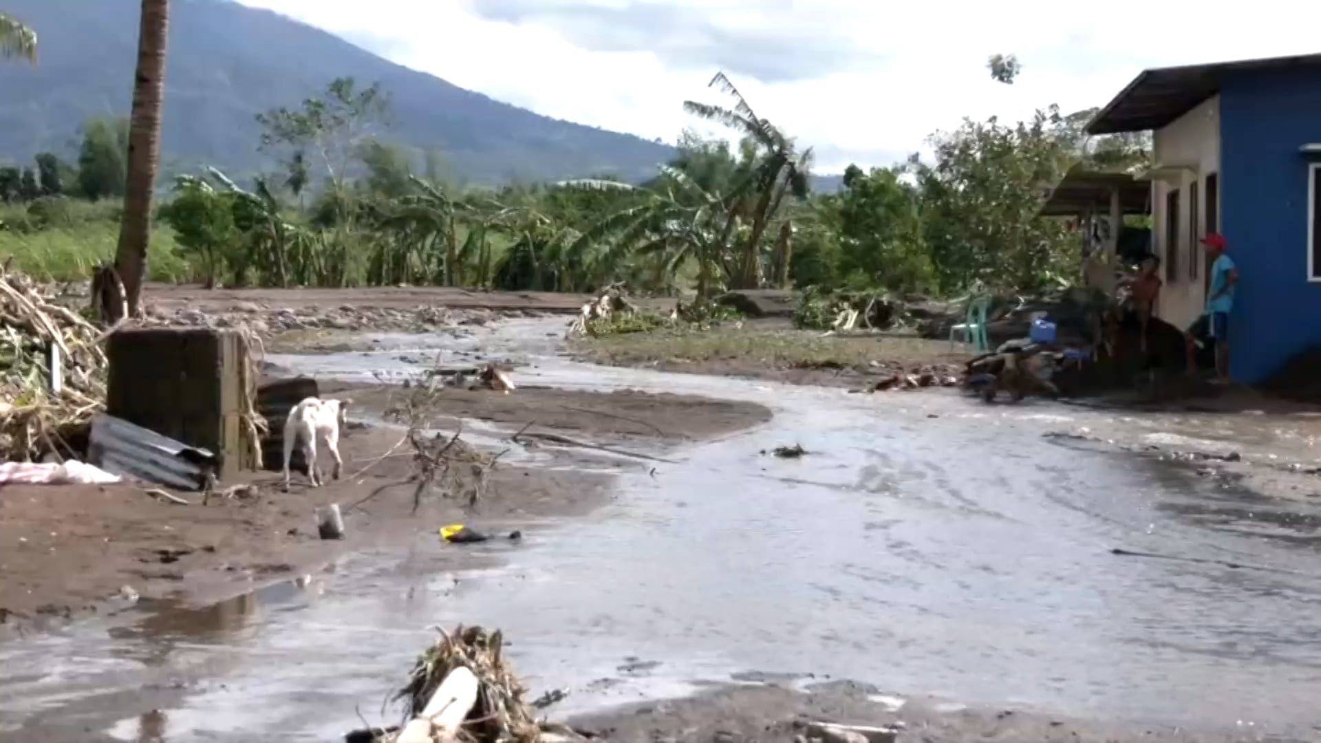 #TinoPH claims over 50 persons in Negros Occ