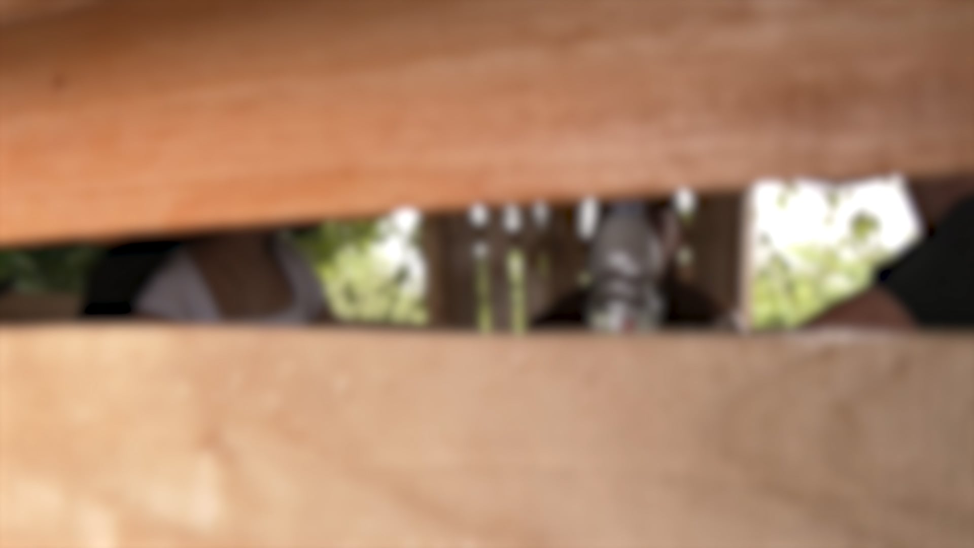 Image via GMA Regional TV One Western Visayas