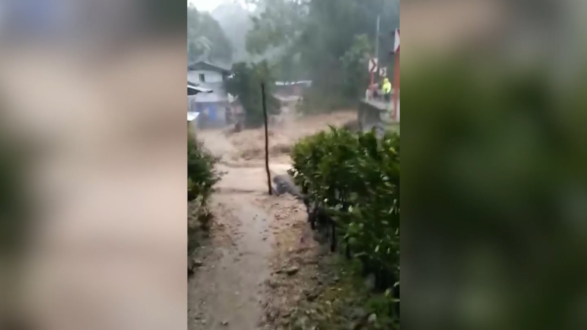 Photo from video courtesy of Jennefer Ayunting