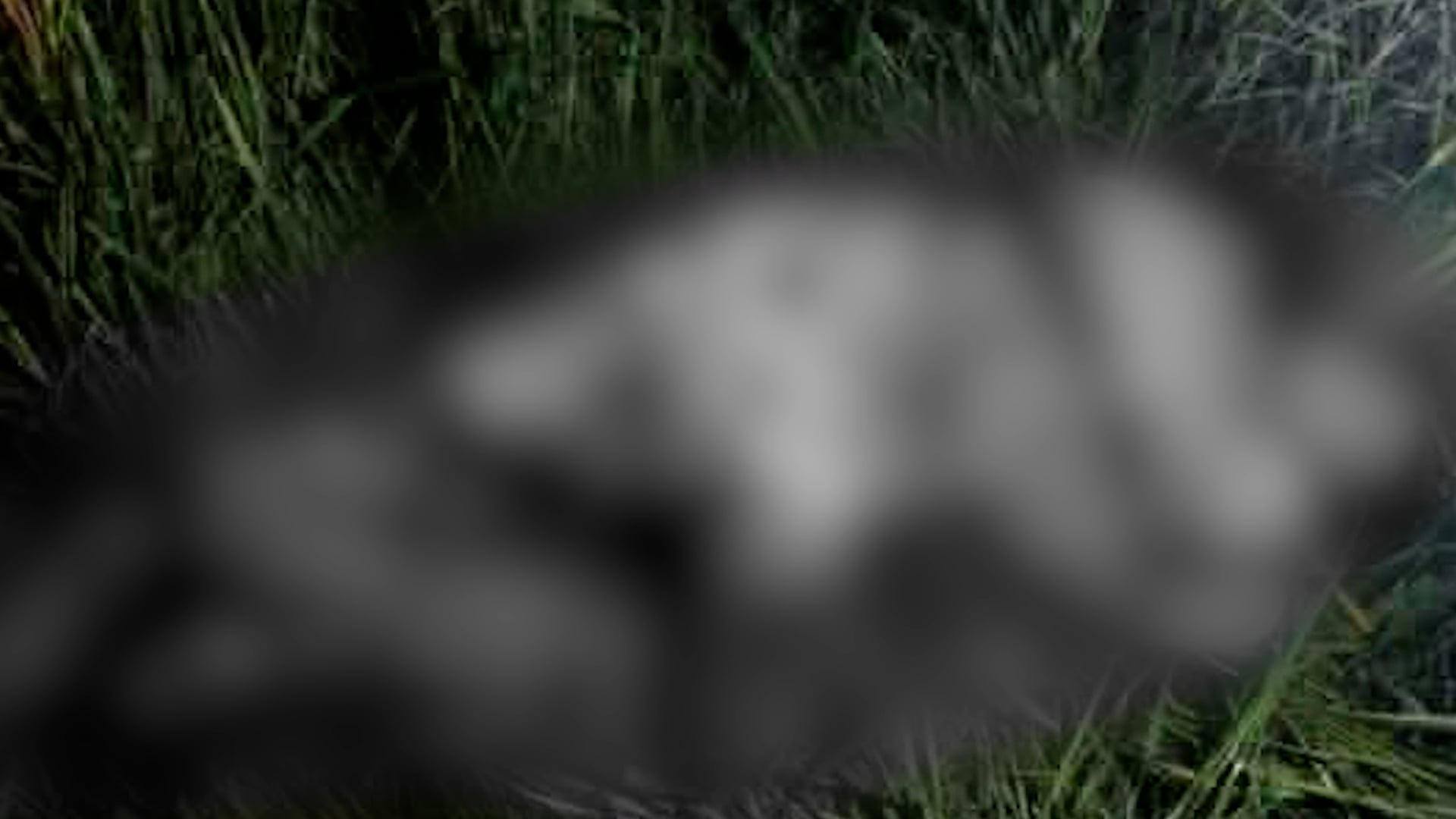 Image courtesy: Dueñas Police