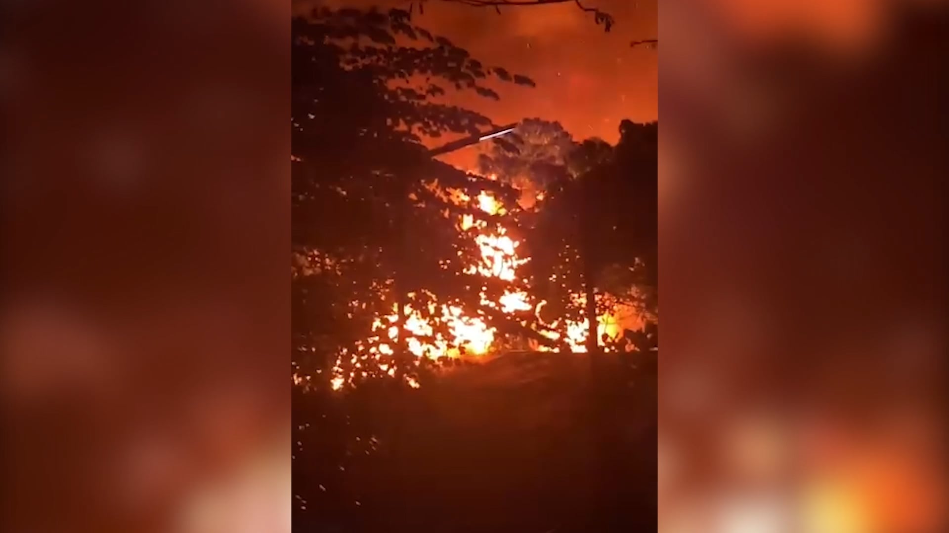 Image from video courtesy of Che Belarmino