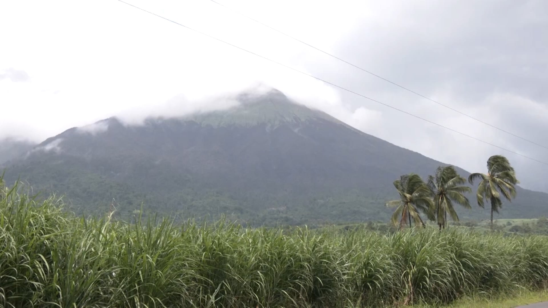 File photo/GMA Regional TV One Western Visayas