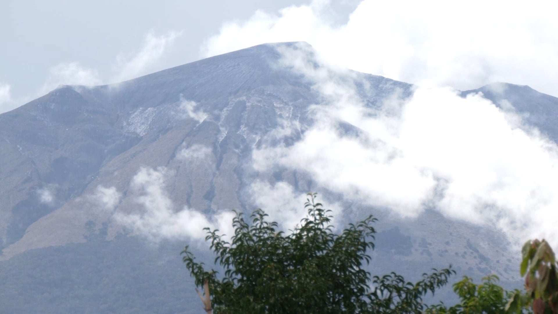 File photo/GMA Regional TV One Western Visayas