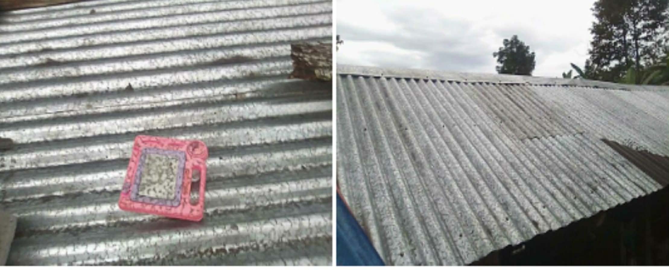 Image courtesy: Bago City DRRMO