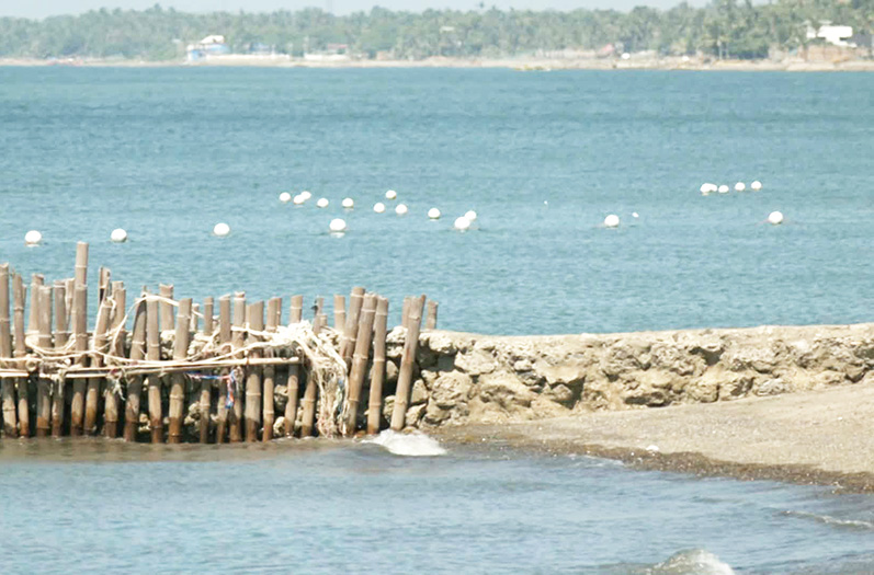 Image via GMA Regional TV One Western Visayas