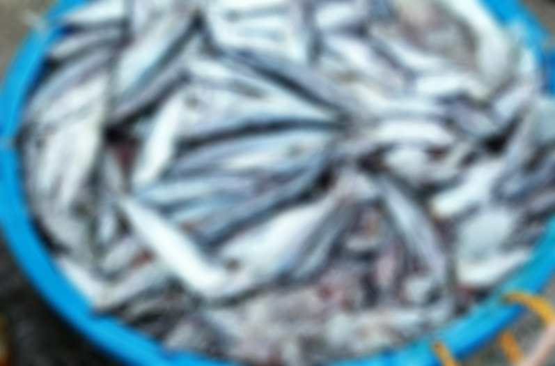 Image via GMA Regional TV One Western Visayas