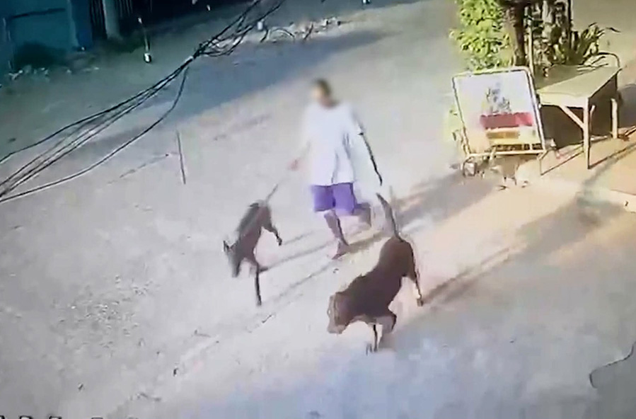 Image via GMA Regional TV One Western Visayas