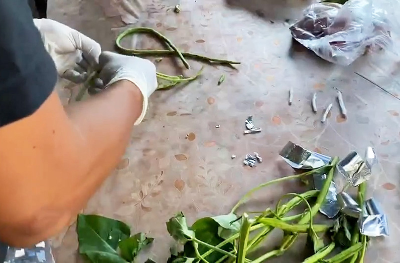 Image via GMA Regional TV One Western Visayas