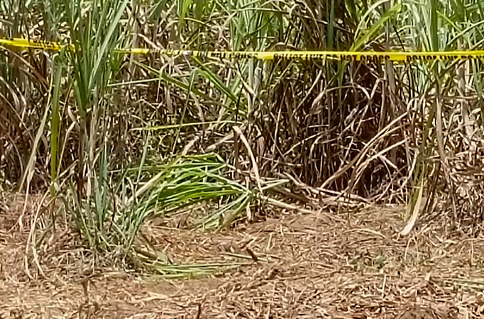 Image courtesy of Nicholas Lachica II via GMA Regional TV One Western Visayas