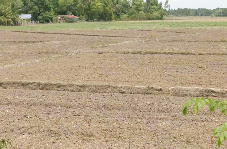 Image via GMA Regional TV One Western Visayas
