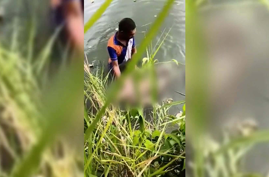 Image via GMA Regional TV One Western Visayas