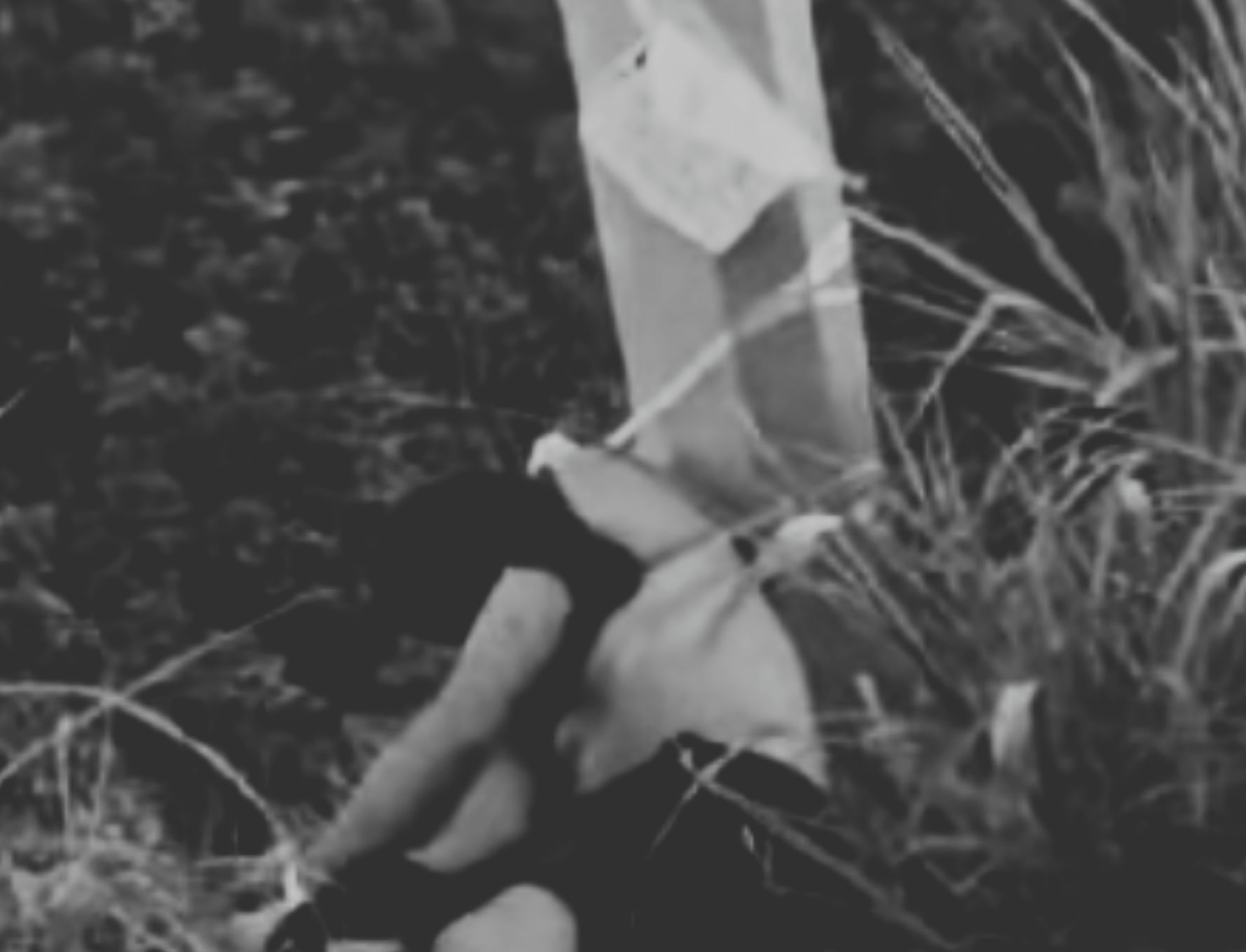 Image from Rena Ramos Adolfo's video