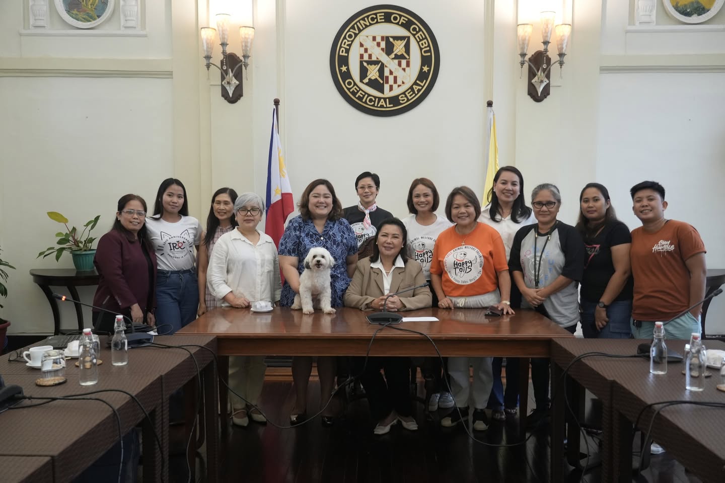 Image courtesy: Cebu Province/Capitol PIO