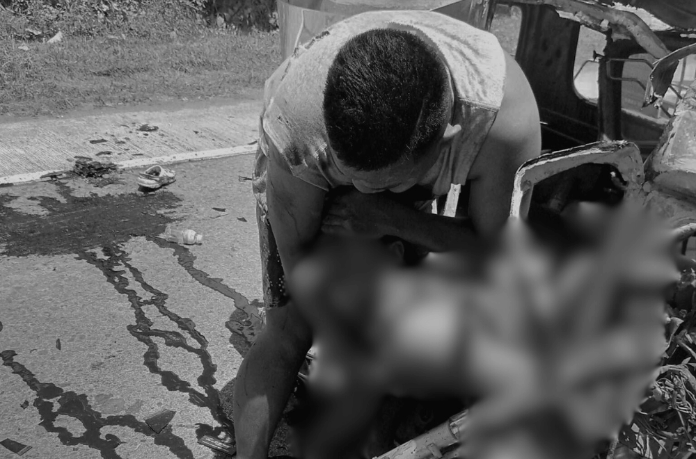 Photo Courtesy: Labo MPS