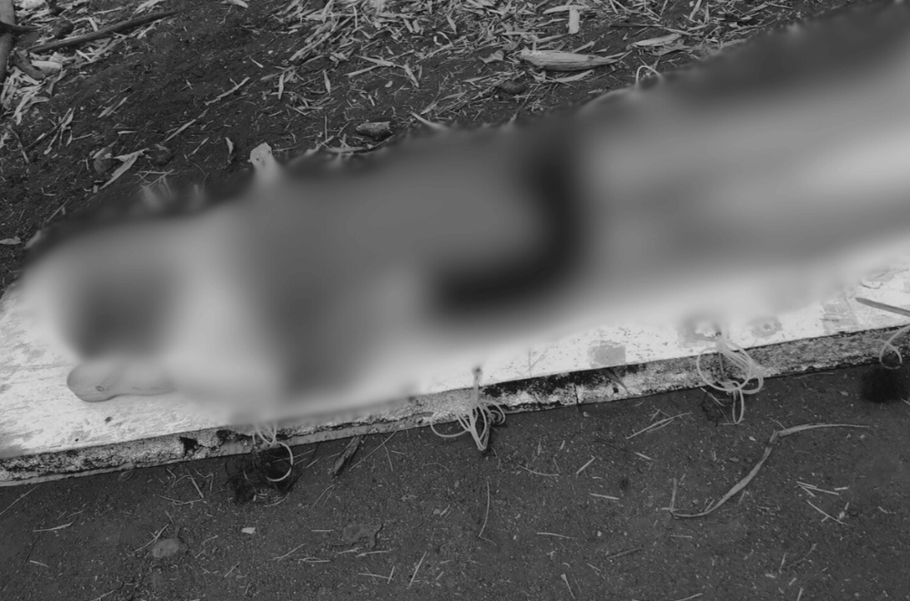 Photo via Balitang Southern Tagalog