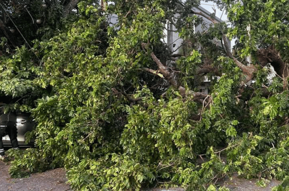 Photo Courtesy: Marivel Santos