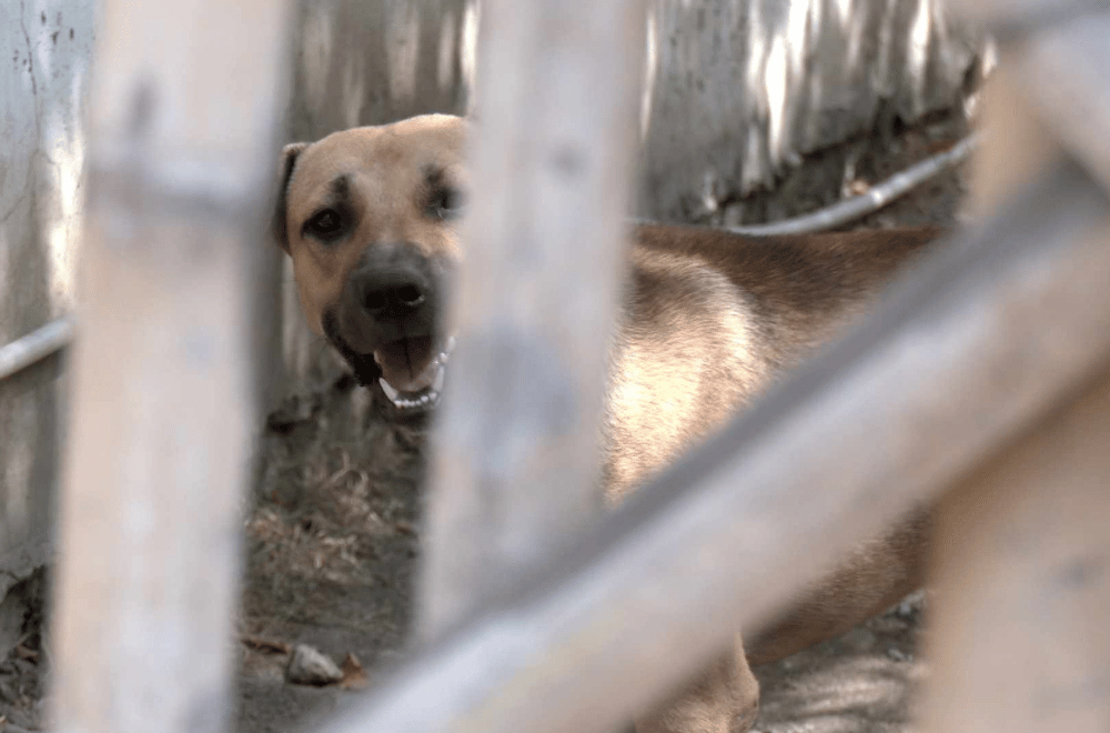 Photo via Balitang Southern Tagalog