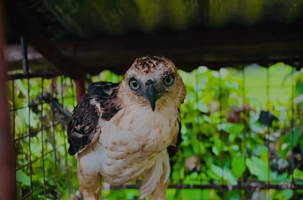 Photo Courtesy: CN-MARPTSA