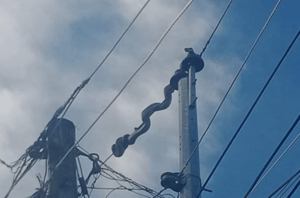 Photo Courtesy: Pierre Dela Peña