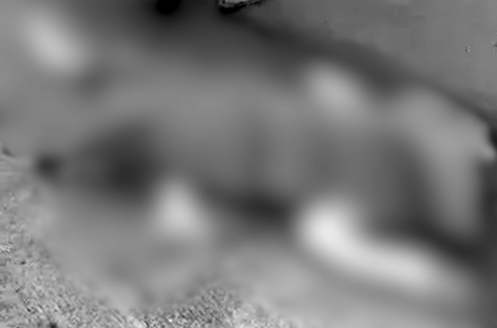 Photo via GMA Regional TV Balitang Bicolandia