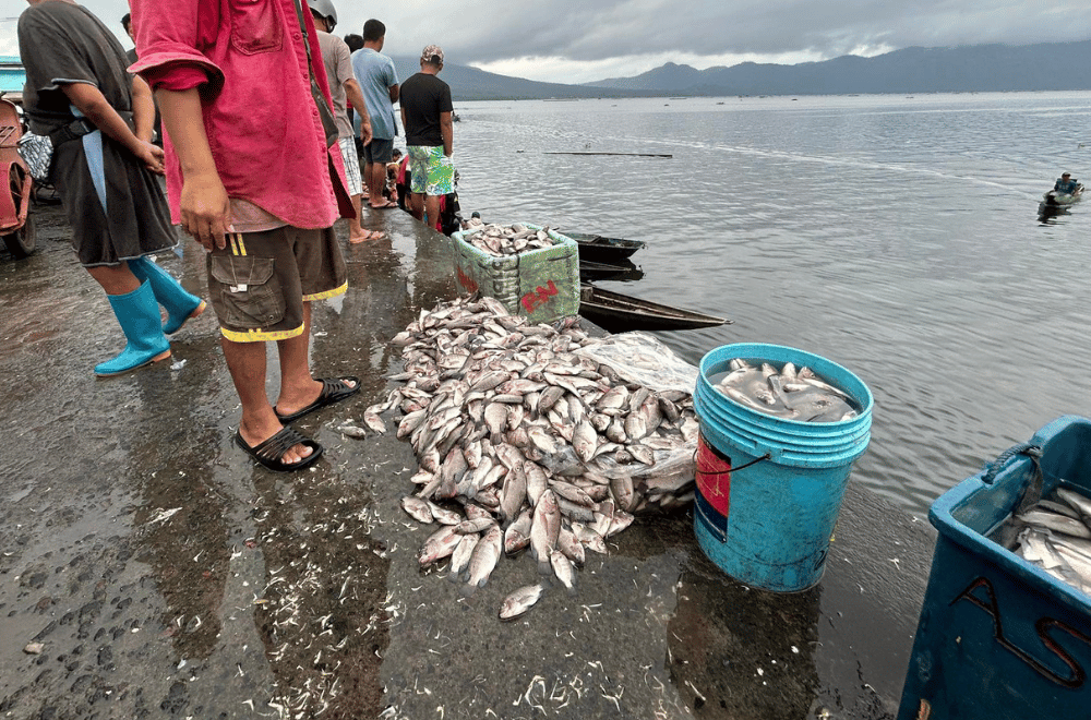 Photo via GMA Regional TV Balitang Bicolandia