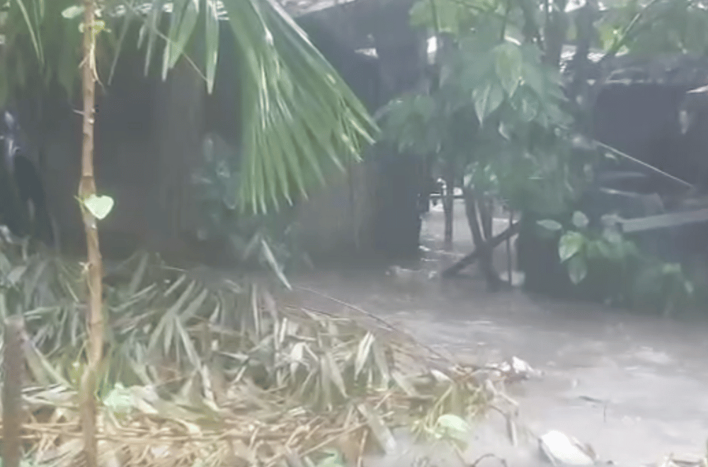 Photo via GMA Regional TV Balitang Bicolandia