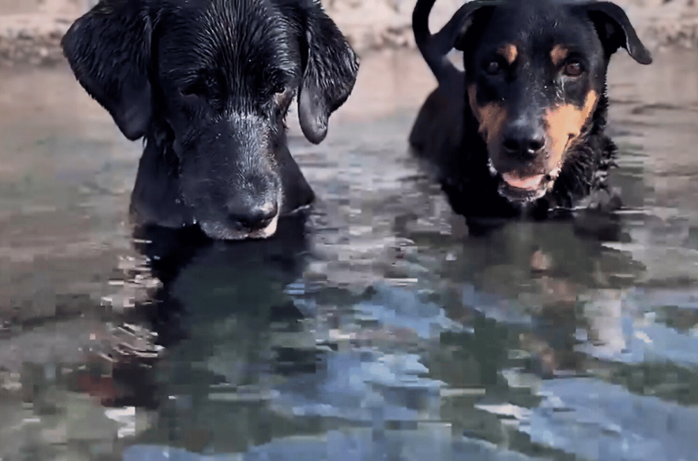 Photo Courtesy: Danny Ocampo, John Kenneth Gines