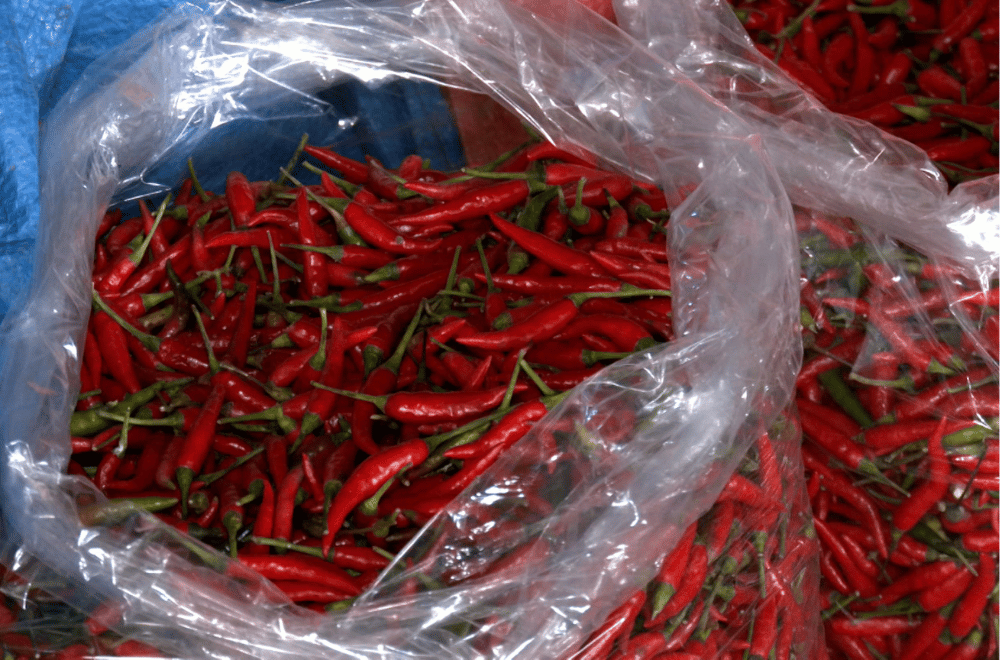 Photo via GMA Regional TV Balitang Southern Tagalog