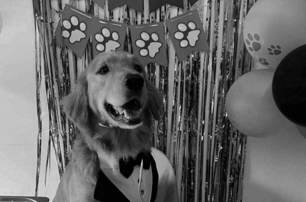 Photo via GMA Regional TV Balitang Bicolandia