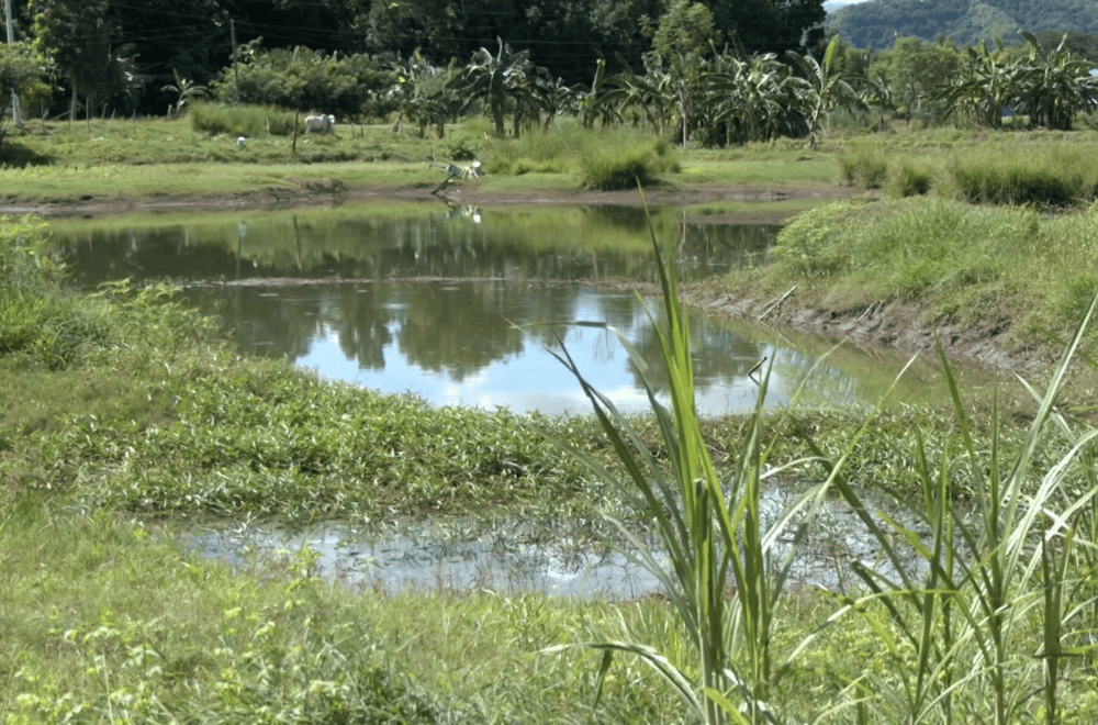 Photo via GMA Regional TV One North Central Luzon