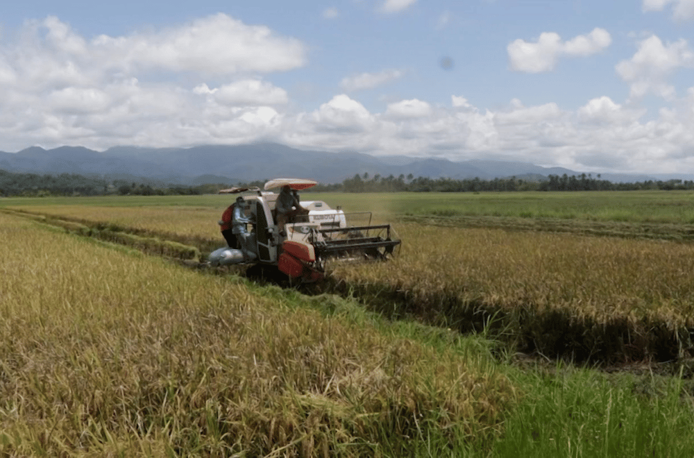 Photo via GMA Regional TV One North Central Luzon