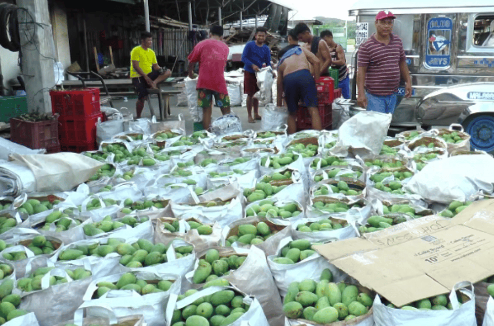 Photo via One North Central Luzon