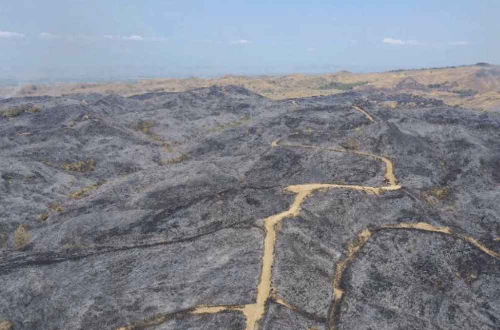 Photo Courtesy: CENRO-Cabagan