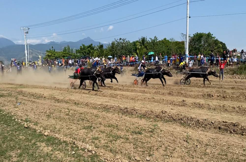 Photo via One North Central Luzon