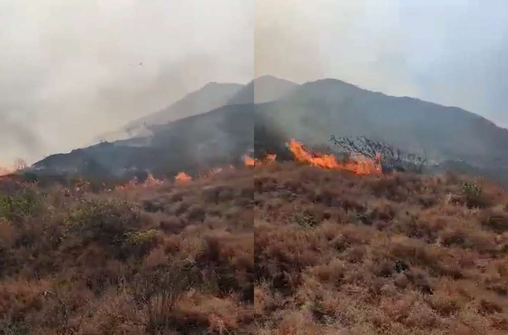 Photo via One North Central Luzon