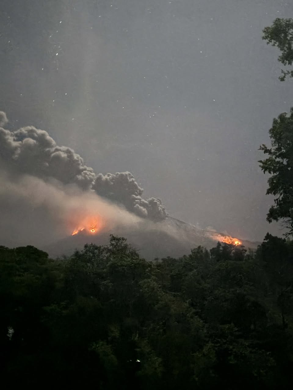 Image courtesy: YouScooper Regine Delos Santos Tomaquin