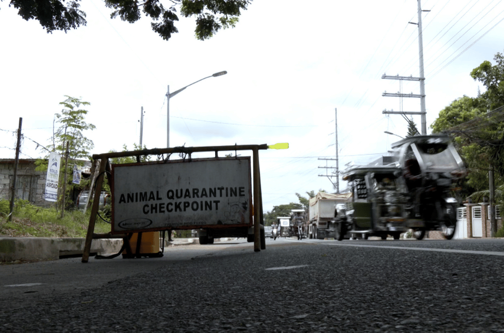 Photo via GMA Regional TV Balitang Southern Tagalog