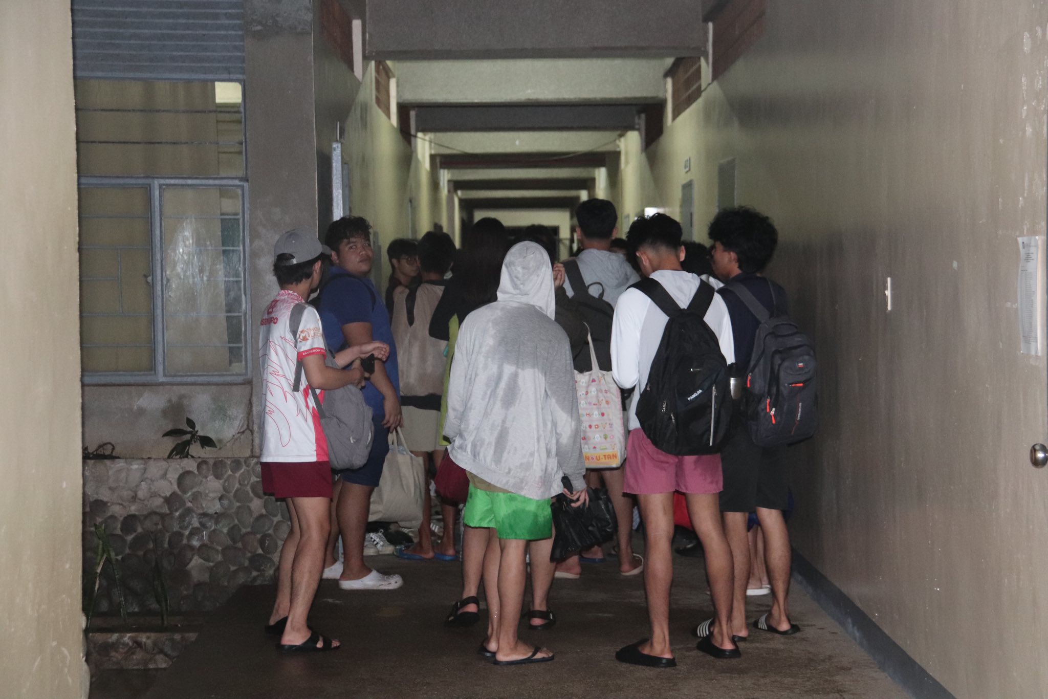 Image courtesy: Amaranth/Visayas State University