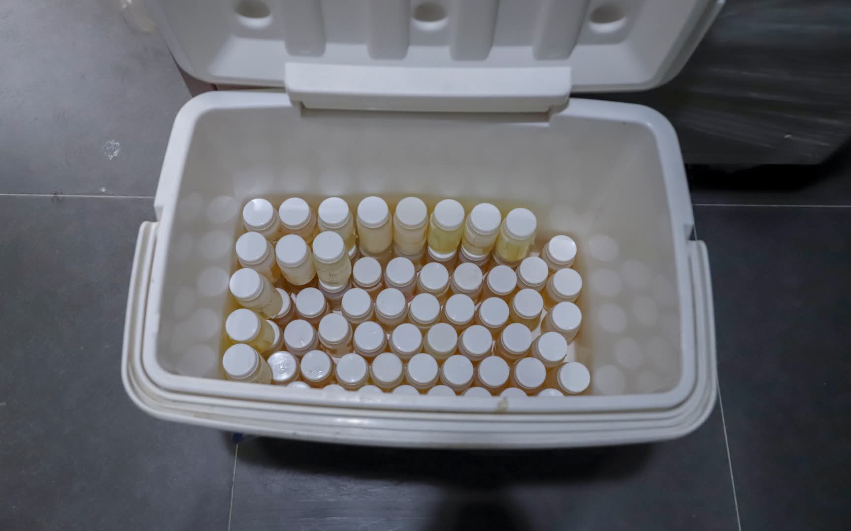 Image courtesy: Lapu-Lapu City PIO