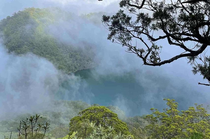 Photo courtesy: Wil Libre