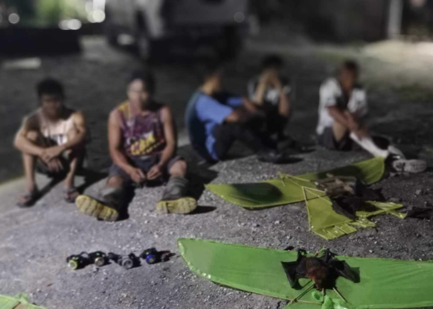 Image courtesy: DENR-Davao