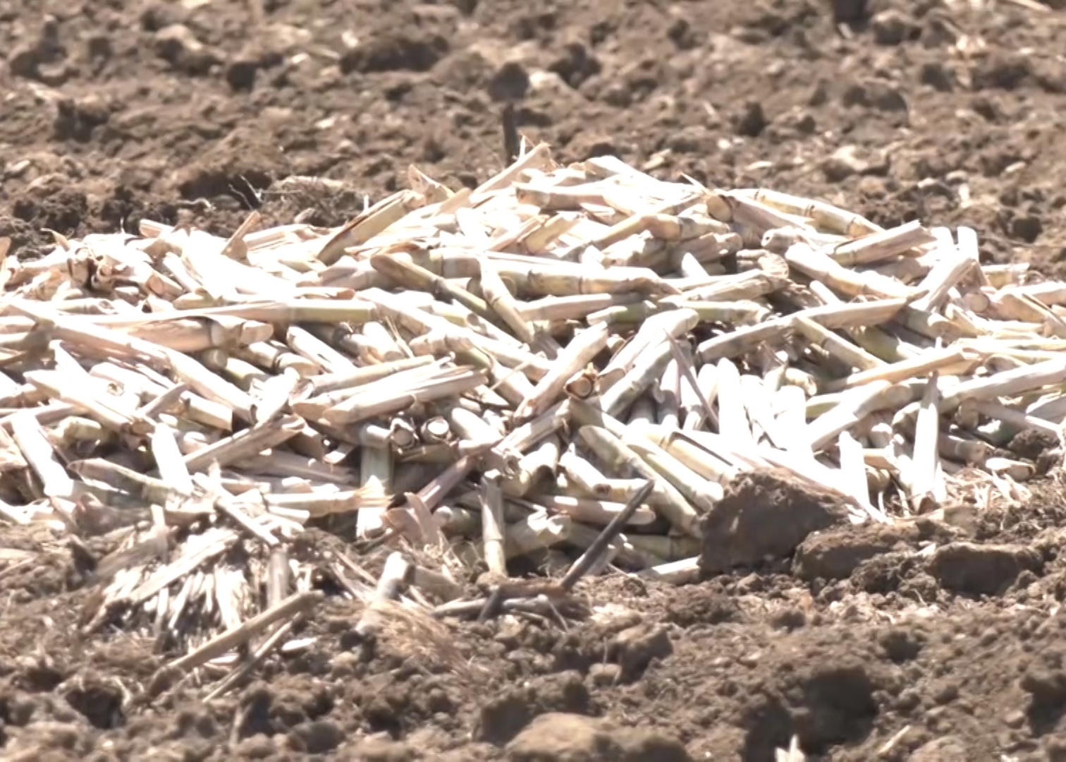 Image via GMA Regional TV One Western Visayas