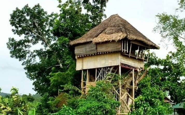 The author's bamboo treehouse before #KristinePH devastated parts of the Philippines in Oct 2024.