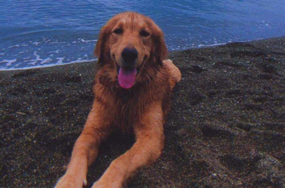 Photo Courtesy: Vina Rachelle Arazas