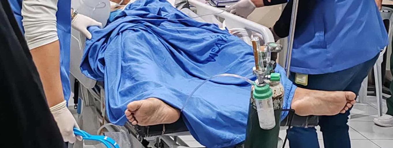 Image courtesy: Mariane Ligan