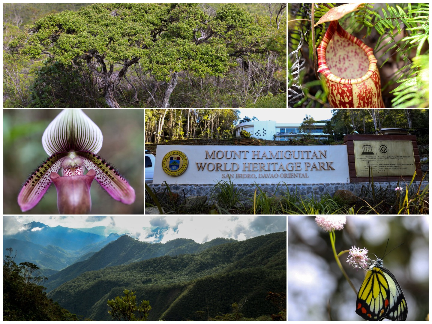 Photo courtesy: DENR-11