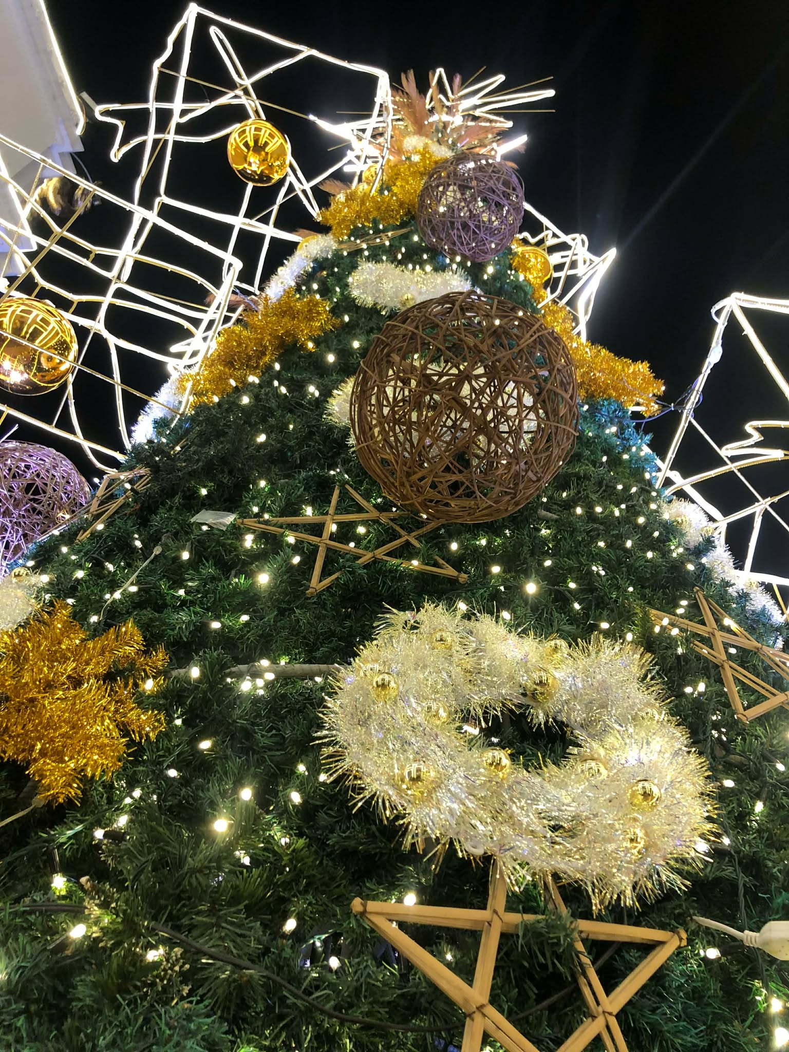 Image courtesy: Cebu Province/Capitol PIO